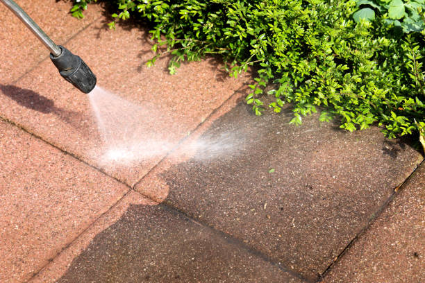 Trusted Vienna, VA Pressure Washing Experts